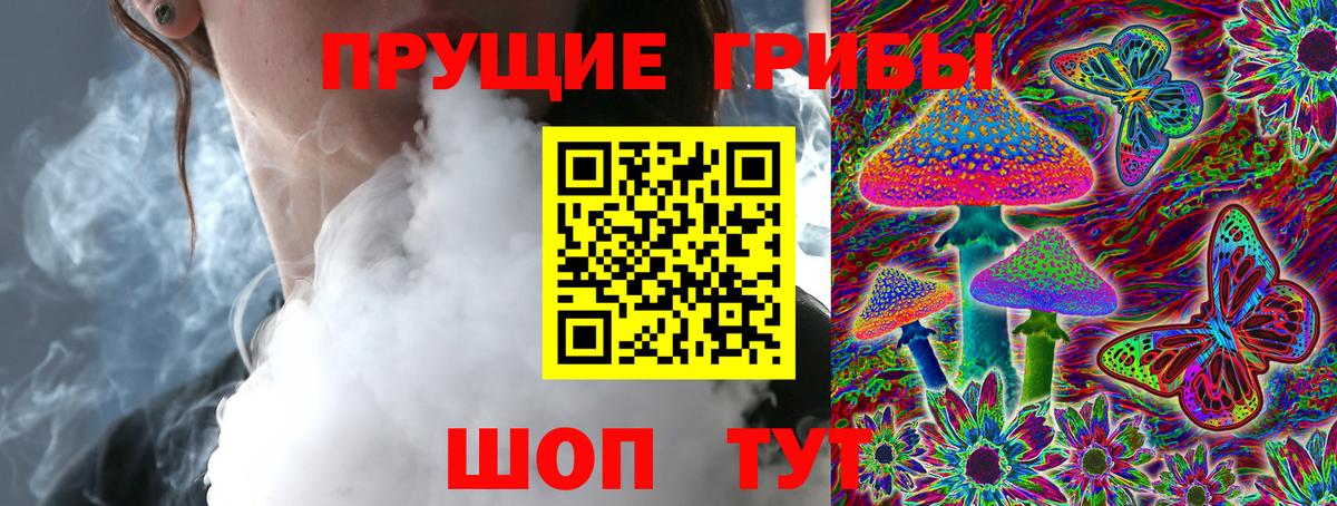 Галлюциногенные грибы Psilocybe Белая Калитва